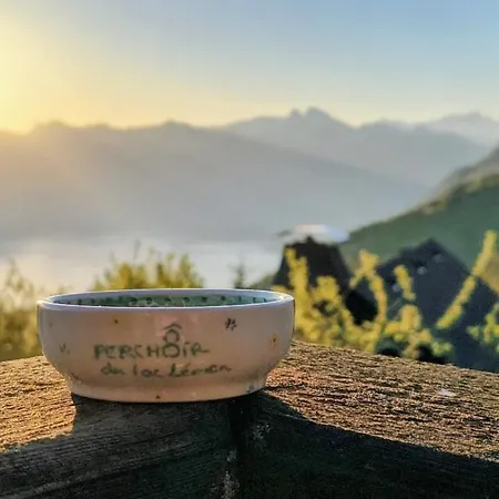 Châlet ô Perchoir Du Léman - Vue Panoramique Et Montagnes Thollon-les-Memises